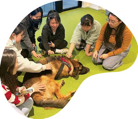 動物纏繞療法：新興的動物輔助介入手法