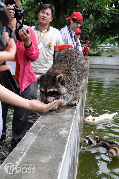 動物與遊客的獨特互動