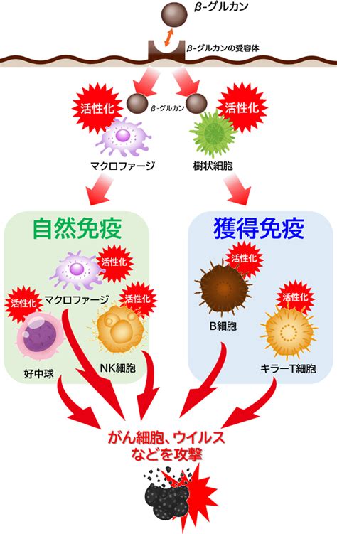 匂いの悩みを解決するサプリメント徹底ガイド