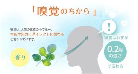 匂いサプリで嗅覚を甦らせ、生活に彩りを！