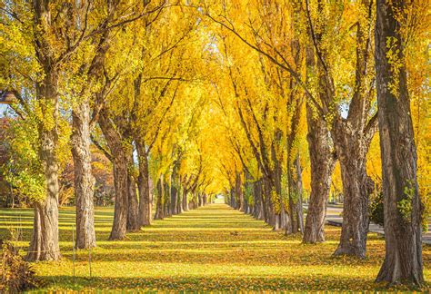 北海道 11 月自由行：絕美紅葉、溫泉秘境不可錯過！