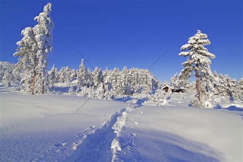 北海道 11 月：探索魅力無窮的冬季仙境