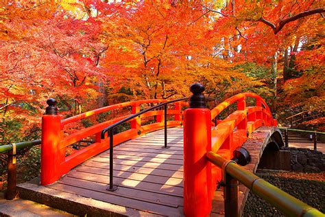 北野天満宮の紅葉