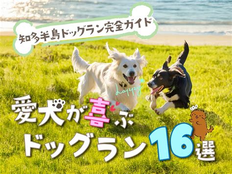 北陸道ドッグラン完全ガイド〜愛犬と素敵な休日を過ごそう〜