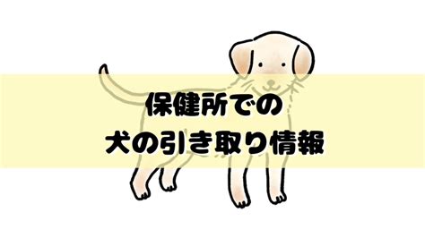 千葉県の保健所での犬の引き取りに関する完全ガイド