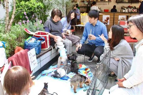 千葉県の愛護センター：地域における保護犬・猫の福祉向上