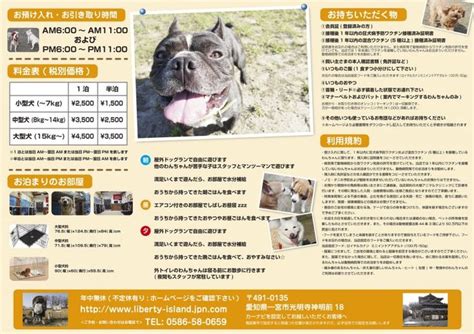 千葉県保健所犬引き取りに関する包括ガイド