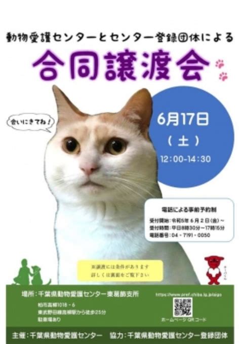 千葉県動物愛護センターでペットとのふれあいを満喫しよう！