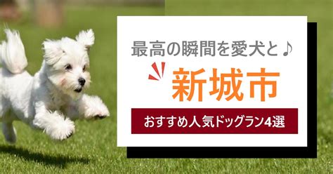 南アルプスで愛犬との楽しいひとときを！ドッグラン徹底ガイド