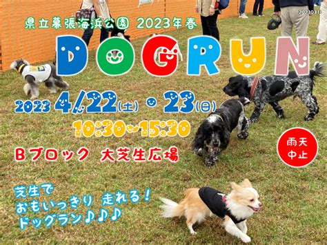 南アルプスで愛犬と楽しめるドッグラン徹底ガイド