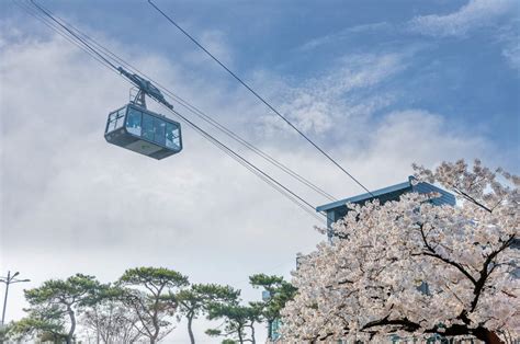 南山纜車營業時間