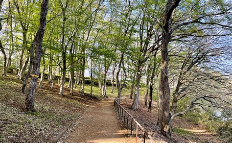 南山 公園