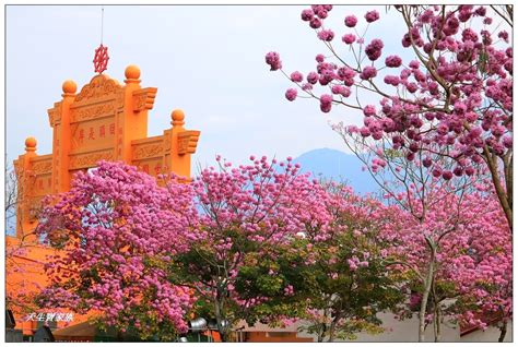 南投 靈 巖 山寺