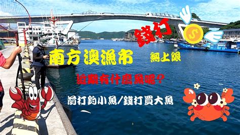 南方澳漁港 9 大必釣魚種 釣魚族必備指南