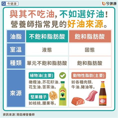 卡卡多貓罐頭：優點、缺點與注意事項