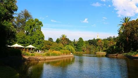 卡拉拉公園：墨爾本的城市綠洲