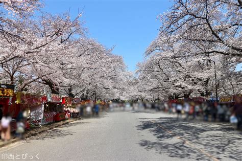 印西 市