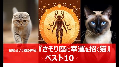 印鑑猫：あなたの人生に幸運を招く神秘的な生き物