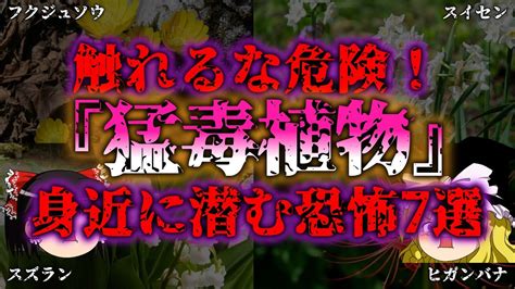 危ない植物：身近に潜む脅威とその対策