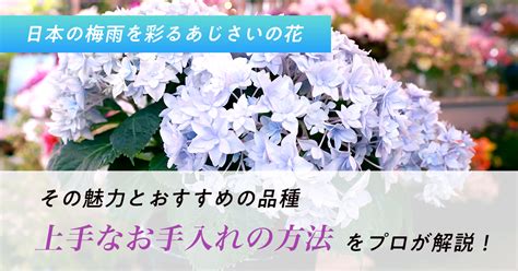 危ない花: その魅力と危険性に迫る