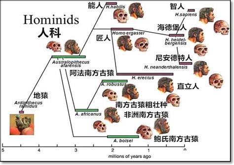 原始中文，指的是人類在演化過程中，遺留在身體和心靈深處的本能和直覺。