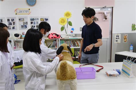 及川動物病院：ペットの健康と幸せを守る、信頼できるパートナー