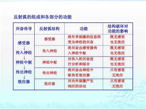 反射功能:中文輸入的強大助力