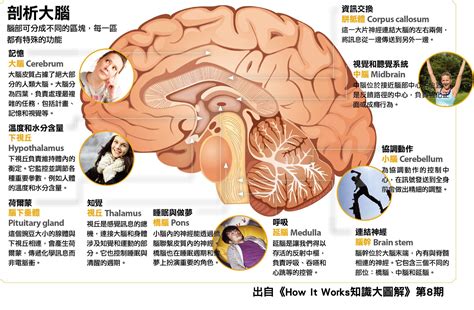 反射：動作、反應，塑造更強健的大腦與身體