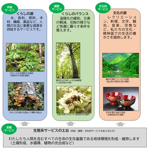 収穫の種類 ～多様な果実がもたらす恵み～