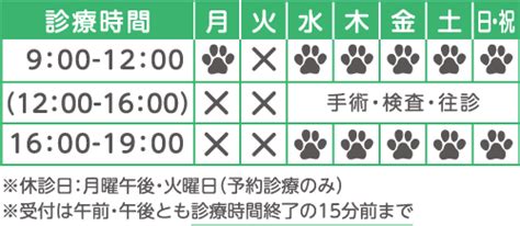 取手アルフォン動物病院で健康なペットを手に入れる包括的なガイド