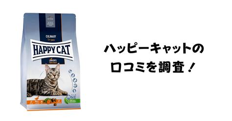 口コミで評判の「ハッピーキャット」徹底解説！愛猫の健康と幸せのために