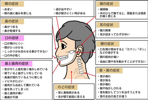 口腔内の問題: