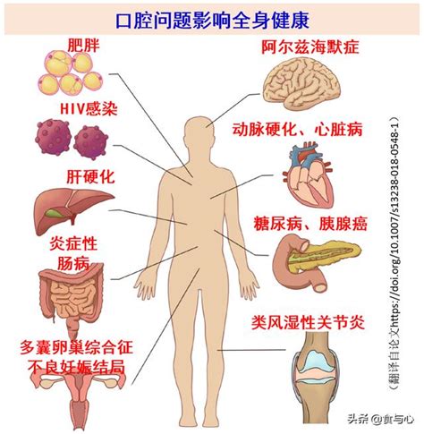 口腔疾病的影響