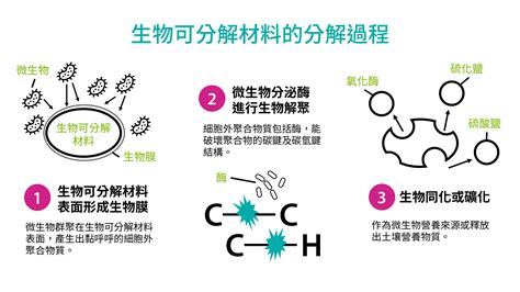 可生物分解型：