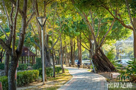 台中中正公園：綠意盎然的城市綠洲