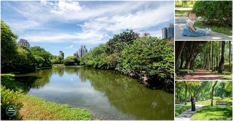 台北都會的綠洲：大安森林公園