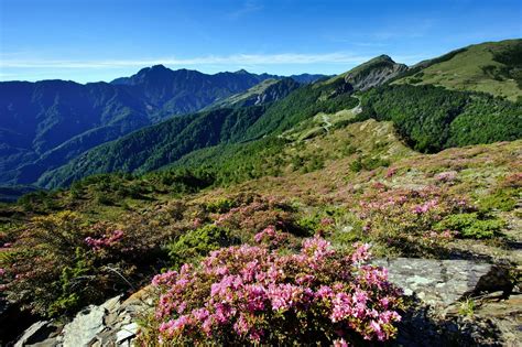 合歡山翠峰風景特定區