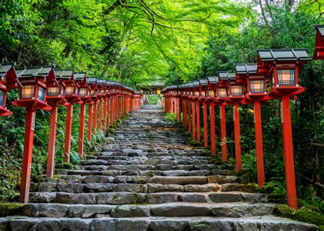 吉祥寺ひだまり：隠れた穴場と魅力満載の街