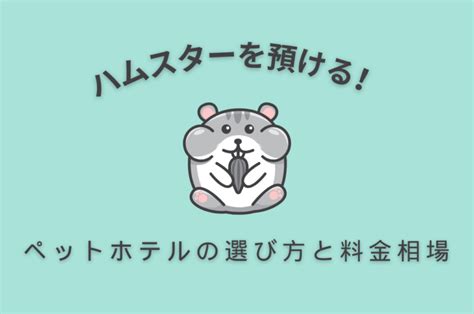 吉祥寺ペットホテルを徹底解説！安心してお出かけできるホテル選びのポイント