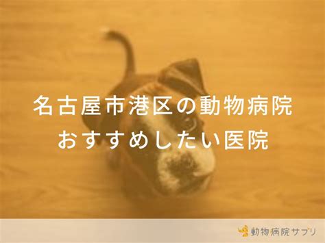 名古屋でおすすめの動物病院ガイド