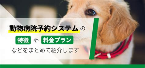 名古屋で評判の動物病院徹底ガイド：料金、口コミ、特徴を網羅