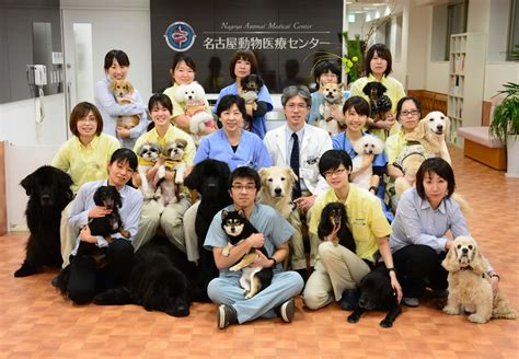 名古屋動物医療センターで愛犬・愛猫の健康を守る