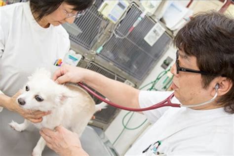 名古屋動物医療センター 口コミ