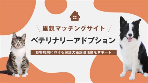 名古屋市における保護犬：包括ガイド