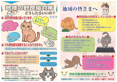 名古屋市における野良猫の引き取りに関する包括ガイド