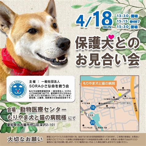 名古屋市保護犬のすべて