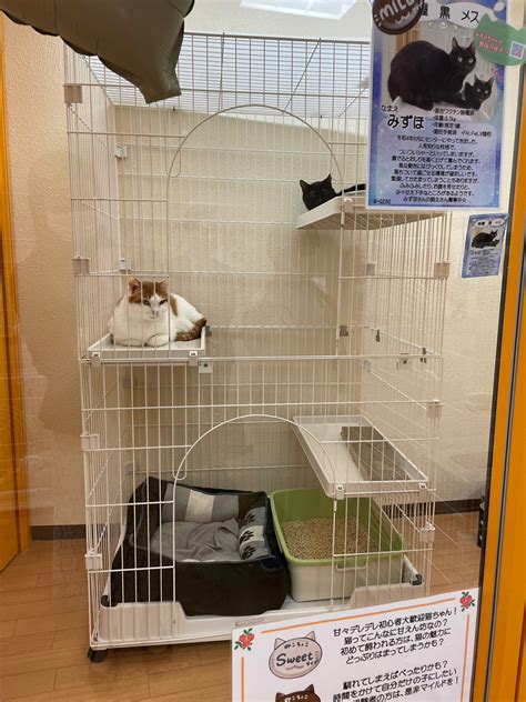 名古屋市動物愛護センターって？