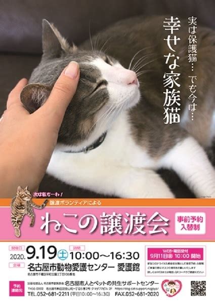 名古屋市動物愛護センターでボランティアをすることで得られるメリットと方法