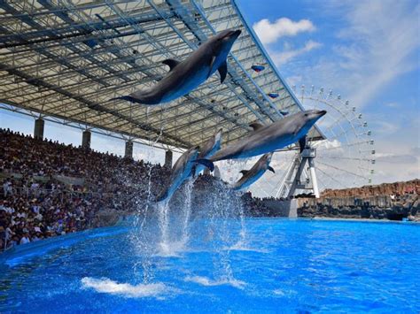 名古屋水族館交通