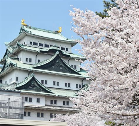 名古屋的夏季氣候